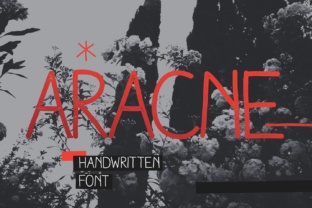 Aracne: The Perfect Font for Small Business Branding