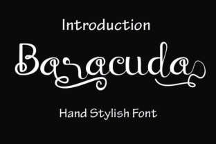 Baraccuda: The Script Font That Elevates Brand Storytelling