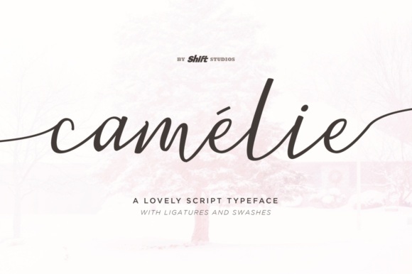 Camelie: A Script Font That Elevates Brand Identity