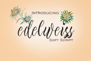 Edelweiss: A Script Handwritten Font for Creative Campaigns
