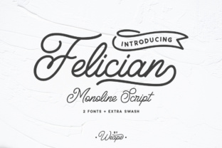 Felician: The Font That Elevates Your Brand’s Visual Story