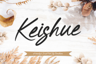 Keishue: The Perfect Font for Elevating Your Brand’s Visual Identity