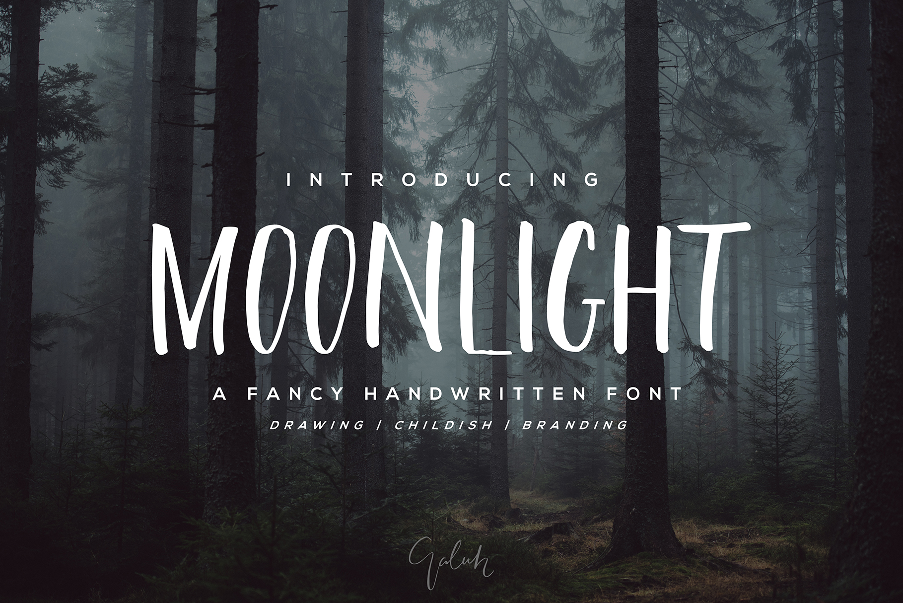 Moonlight: A Script Font for Modern Editorial Design
