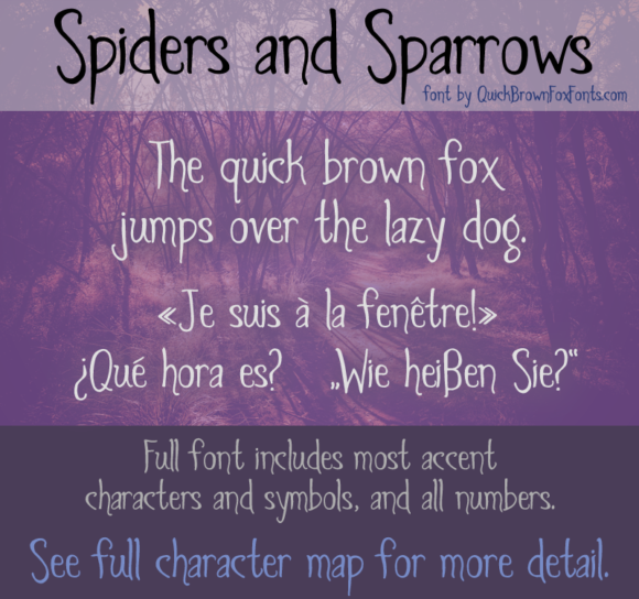 Spiders and Sparrows for Campaigns That Stand Out