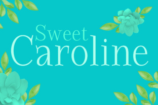 Transform Your Brand with Sweet Caroline